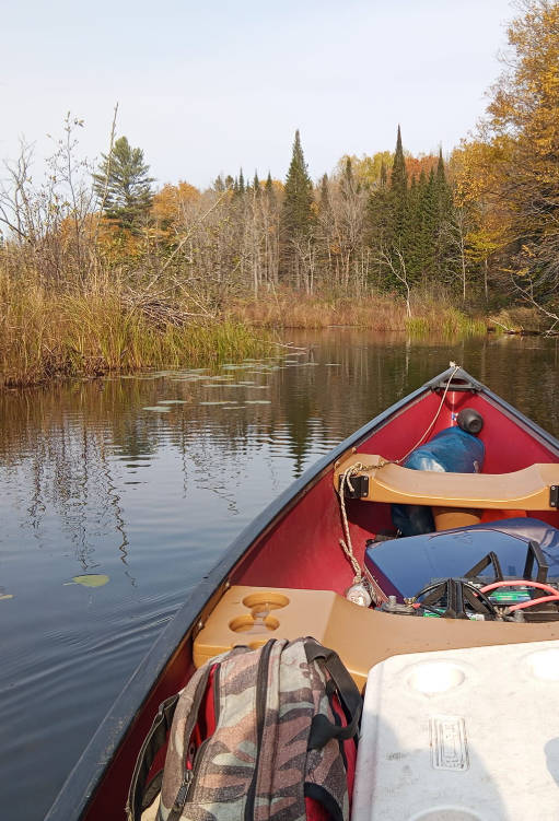 Snipaste_2025-12-18_10-13-51